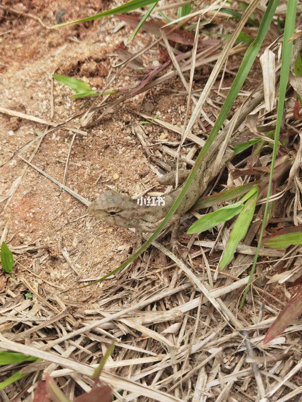 1024小草客户端1024更名为7086-第1张图片-太平洋在线下载