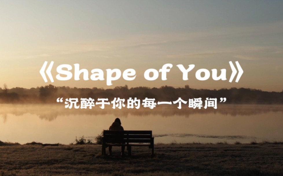 shapeofyou苹果版shapeofyou英文歌词-第2张图片-太平洋在线下载