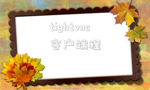 tightvnc客户端程tightvncserver