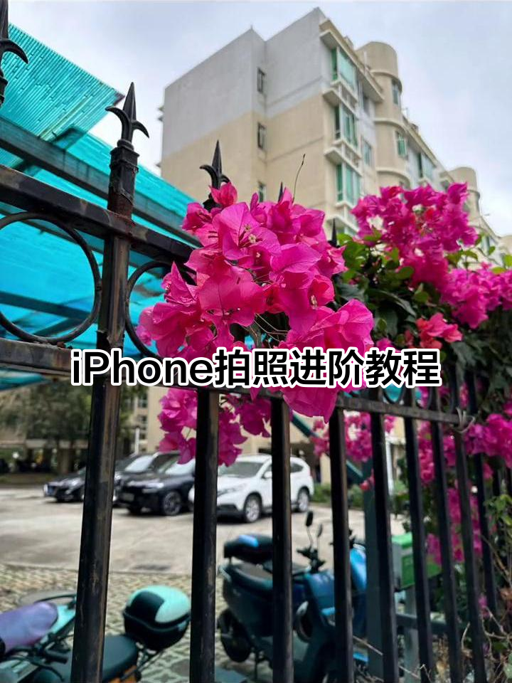 他拍苹果版件片ios版-第2张图片-太平洋在线下载