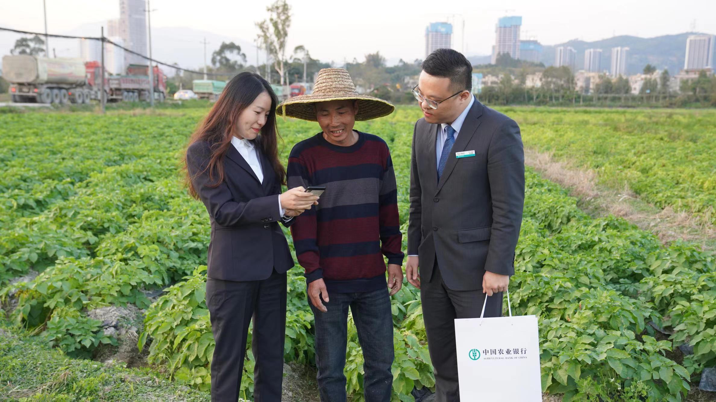 农业个人客户端社保费管理客户端